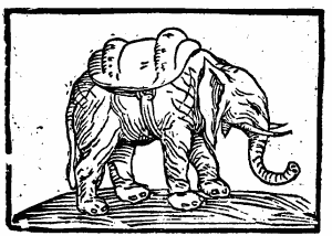 Engraving showing an elephant