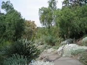 Melbourne royal botanic garden path