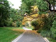 Promenade dans le Royal Botanic Garden de Melbourne