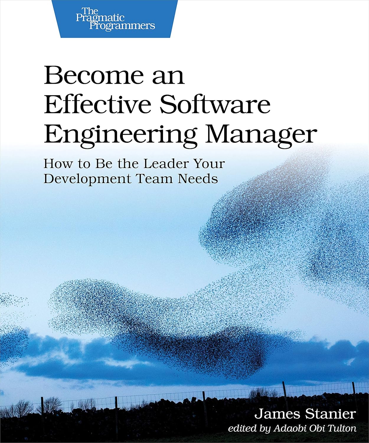 Couverture du livre (en) 'Become an effective software engineering manager'